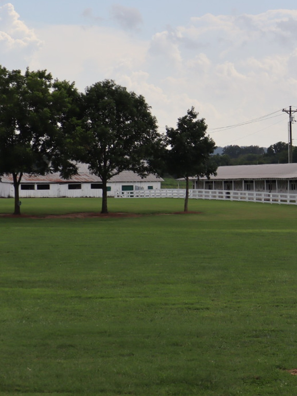 White-fenced horse farm with mature shade trees and open green pasture in the Williamson County countryside