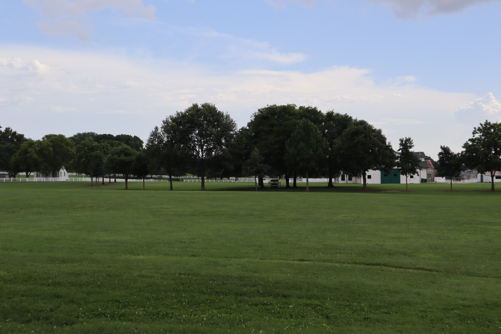 Open green pasture and treeline in the Middle Tennessee countryside